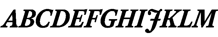 Herbik BoldItalic Font UPPERCASE