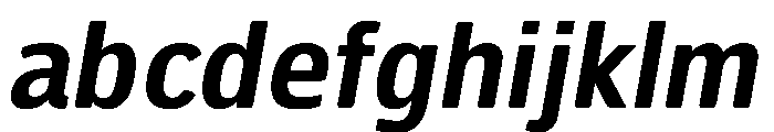 HermesMaia6Italic FONT