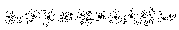 Hibiscus Doodle Font OTHER CHARS