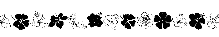 Hibiscus Doodle Font UPPERCASE