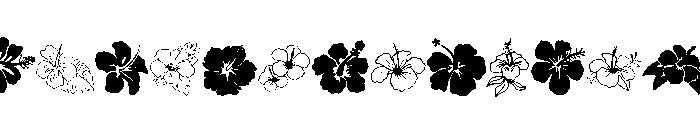 Hibiscus Doodle Font UPPERCASE