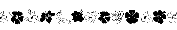 Hibiscus Doodle FONT
