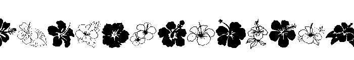 Hibiscus Doodle Font LOWERCASE