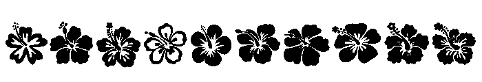 Hibiscus Set Font OTHER CHARS