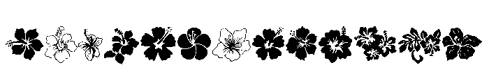 Hibiscus Set FONT
