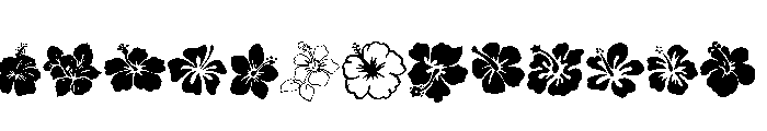 Hibiscus Set Font LOWERCASE