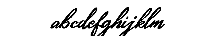 Hidden Coast Script FONT
