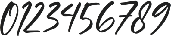 HirarkiSignature otf (400) Font OTHER CHARS