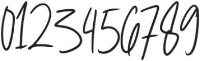 Hiykosa Signature Regular ttf (400) Font OTHER CHARS