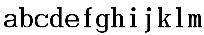Hindsight Monospace Regular Font LOWERCASE