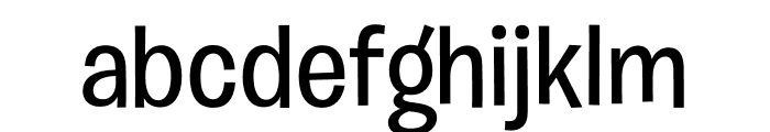 Burbank Big Regular Light Medium Font LOWERCASE