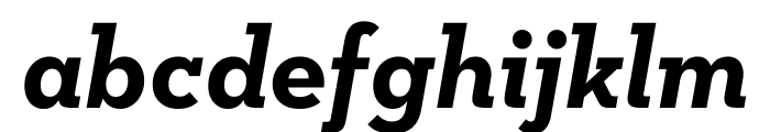 Neutraface Slab Text Light Bold Italic Font LOWERCASE
