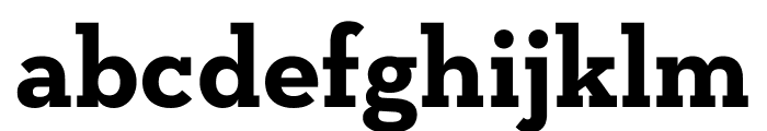 Neutraface Slab Text Light Bold Font LOWERCASE