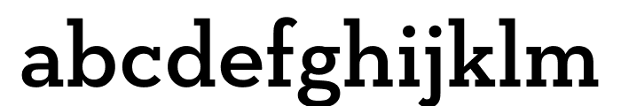 Neutraface Slab Text Light Font LOWERCASE