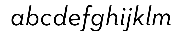 Neutraface Text Light Book Italic Font LOWERCASE