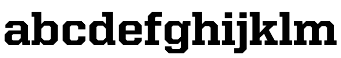 United Serif Regular Thin Font LOWERCASE