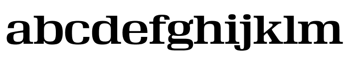 Velo Serif Display Thin Medium Font LOWERCASE