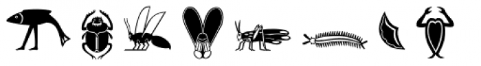 Hieroglyph E Regular Font LOWERCASE