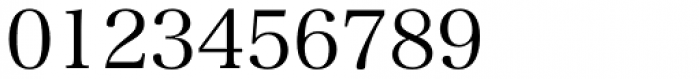 Hiragino Serif (Mincho) ProN W3 Font OTHER CHARS
