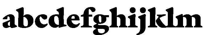 Hoefler Text Heavy FONT