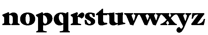 Hoefler Text Heavy Font LOWERCASE