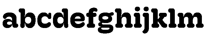 Hoss Round Slab Bold FONT