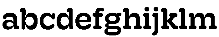 Hoss Round Slab Medium FONT