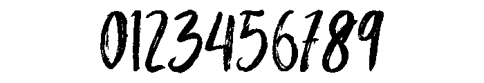 Holgiona Regular Font OTHER CHARS