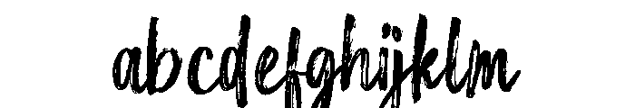 Holgiona Regular FONT