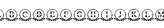 Holly Berry Monogram FONT
