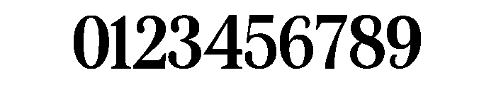 Holly Serif Font OTHER CHARS