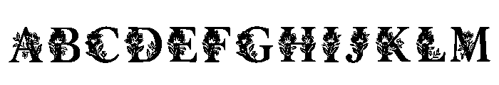 Holographic Regular FONT