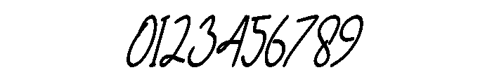 Homework Italic Font OTHER CHARS