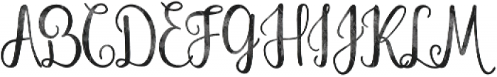 Holistic Font Family Halftone otf (400) Font UPPERCASE