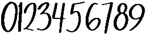 Homeward Script Regular otf (400) Font OTHER CHARS