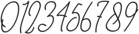 Honey Christmas Monoline Italic Italic otf (400) Font OTHER CHARS