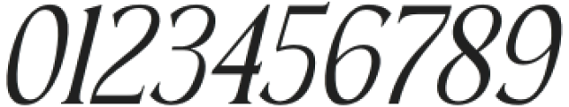 Horge Italic otf (400) Font OTHER CHARS