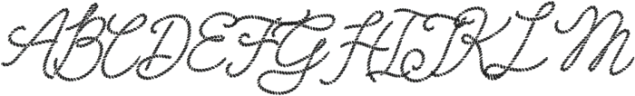 Howdy Handsome Rope Thick otf (400) Font UPPERCASE