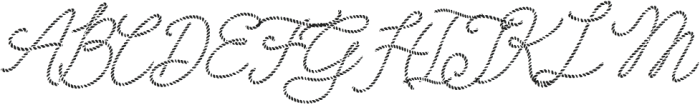 Howdy Handsome Rope otf (400) Font UPPERCASE