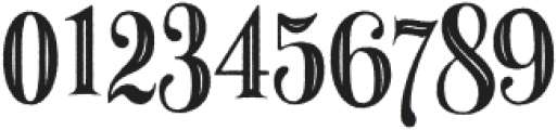 Howli Serif otf (400) Font OTHER CHARS