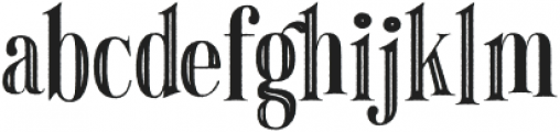 Howli Serif otf (400) Font LOWERCASE