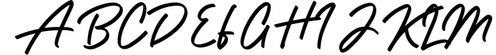 Holiday - Bold Signature Font Font UPPERCASE
