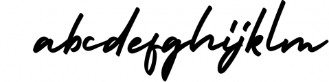 Holiday - Bold Signature Font Font LOWERCASE