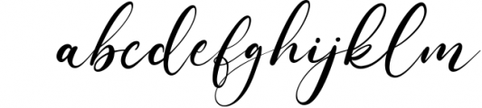 Hollyfur Feminine Signature Script Font Font LOWERCASE