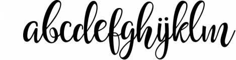 Hollyn Script with Ornaments Font 1 Font LOWERCASE