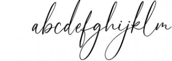 Holystails Beauty Script Font Font LOWERCASE