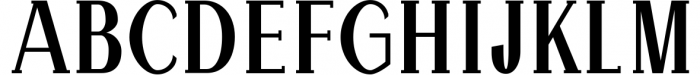 Hommer Minimal Serif Typeface 3 Font UPPERCASE