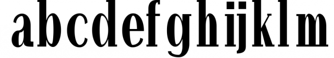 Hommer Minimal Serif Typeface 3 Font LOWERCASE