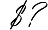 Hooney Vibes Signature Script Font Font OTHER CHARS