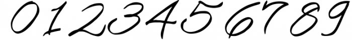 Howar Script | Elegant Handwritted Font OTHER CHARS